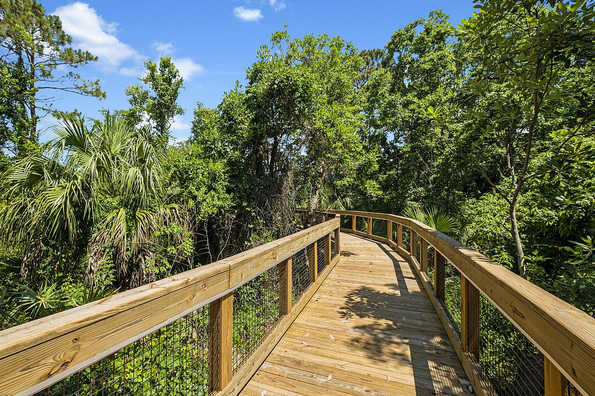 wooden pathway in the middle of trees