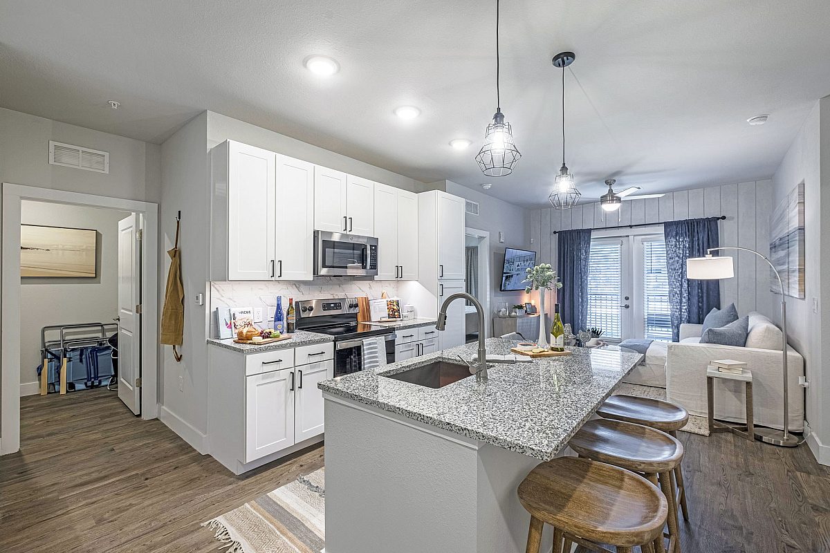 apartment furnished kitchen and living room